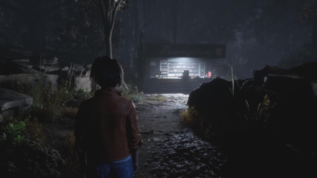 Chapter 14: The Massacre at Gerant Manor (Madison and the ending)